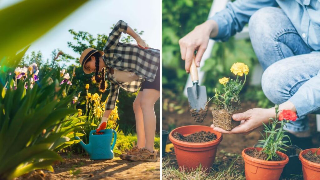 6 Garden Tools That Save You Time and Back Pain
