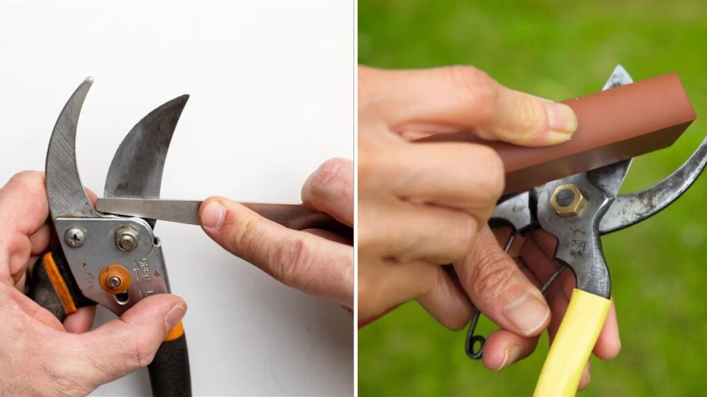 How to Sharpen Pruners the Right Way