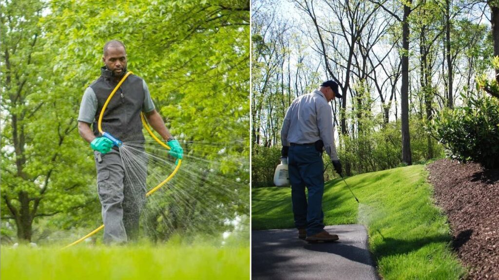 Should You Tell Your Neighbors Before Spraying for Weeds?