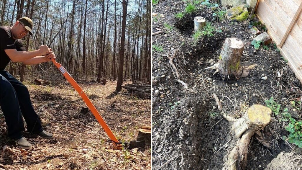 How to Remove Tree Stumps Without Heavy Machinery