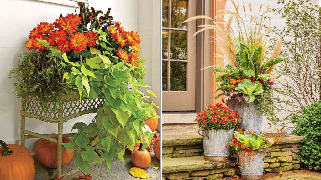 10 Easy Fall Container Ideas That Aren’t Mums