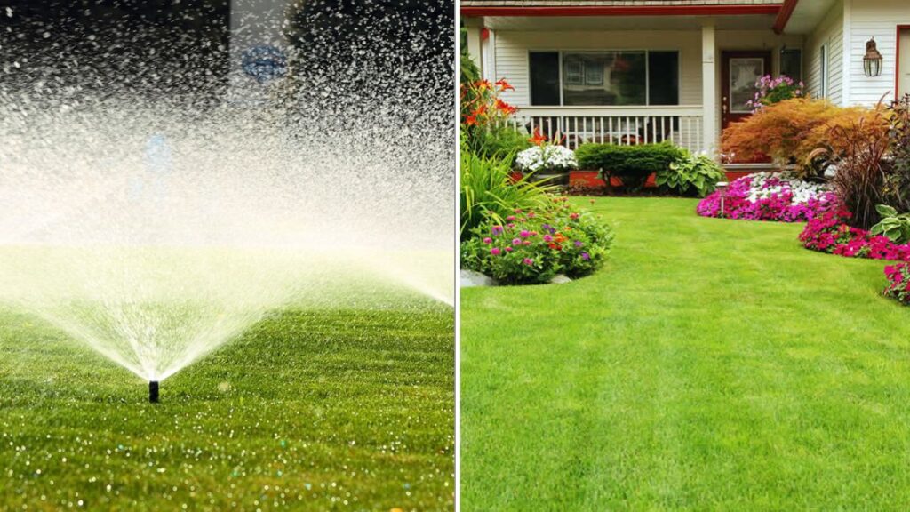 The Secret To Keeping Your Lawn Green Longer
