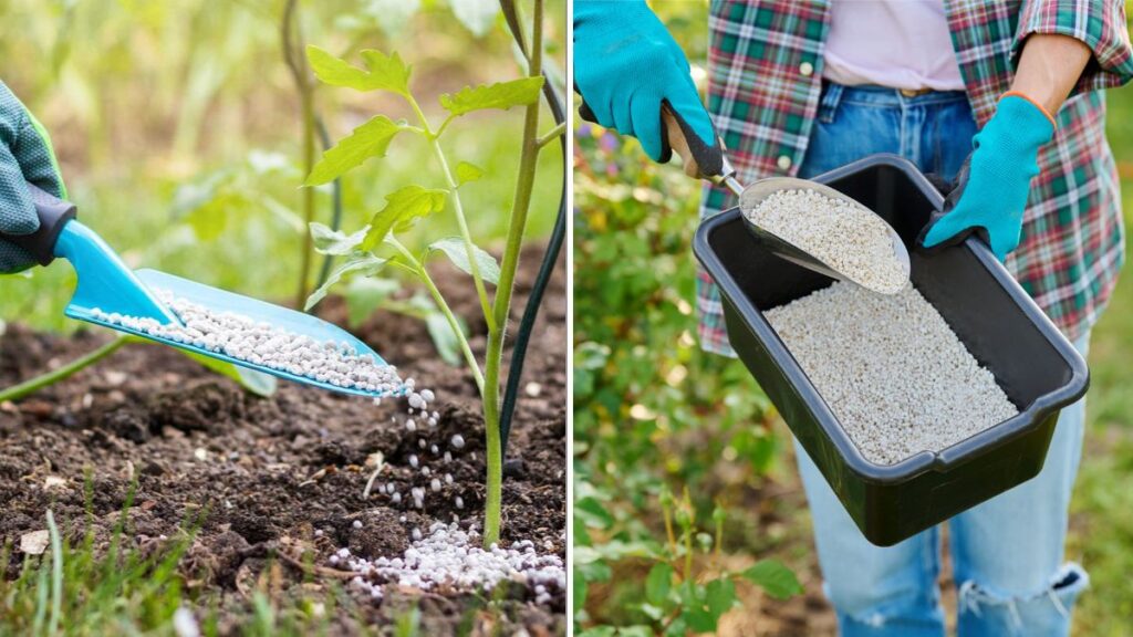 The Best Fall Fertilizers For Strong Spring Growth