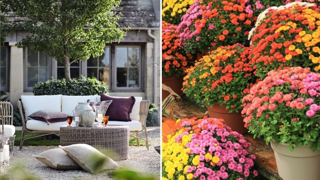 6 Fall Gardening Projects to Try Before Thanksgiving