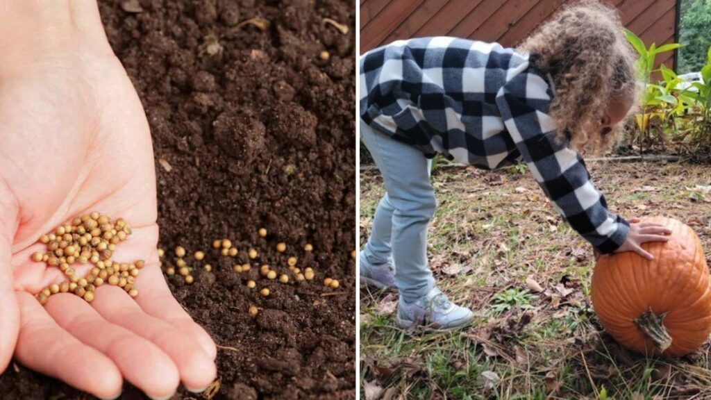 8 Harvest-Themed Gardening Activities for Thanksgiving
