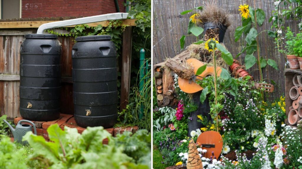 5 Sustainable Gardening Ideas for Thanksgiving Season
