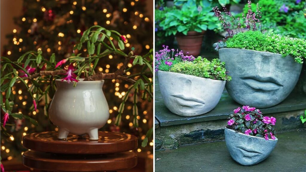 5 Garden Gift Ideas for Christmas Morning