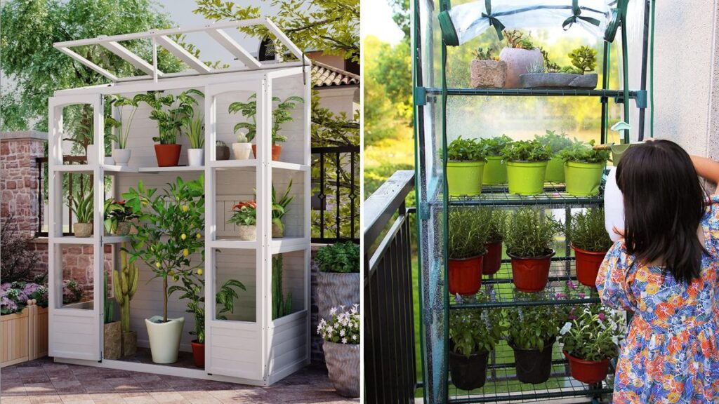 6 Mini Greenhouse Projects for Christmas Gardeners